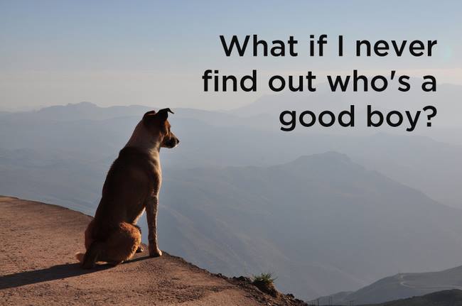 Fundamental-question.jpg